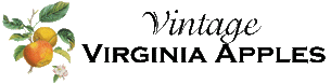Vintage Virginia Apples logo