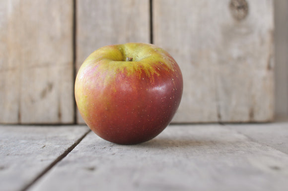 Virginia Apple Tree Apple Trees – Vintage Virginia Apples